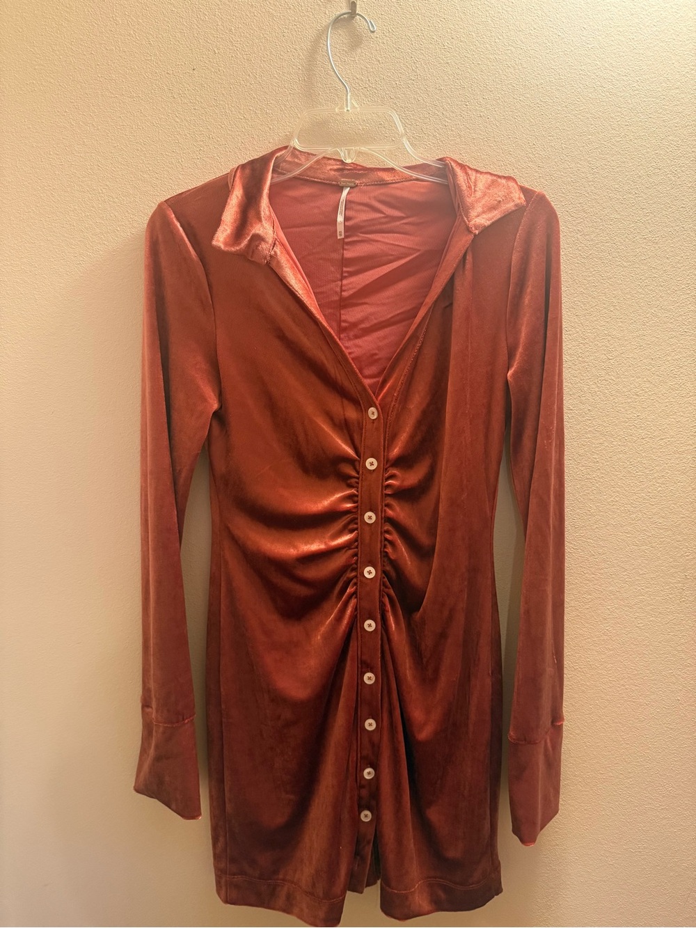 Free People rose velvet dress